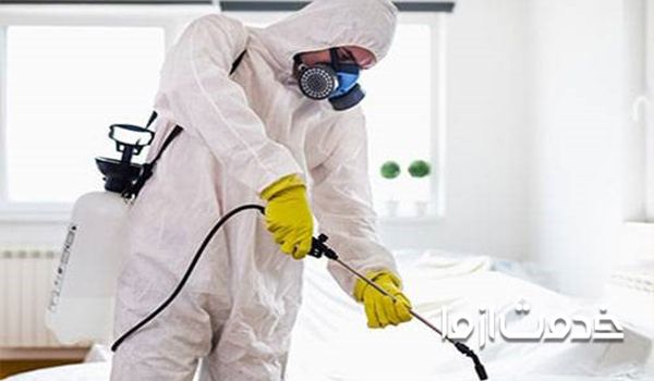 قیمت سمپاشی سوسک